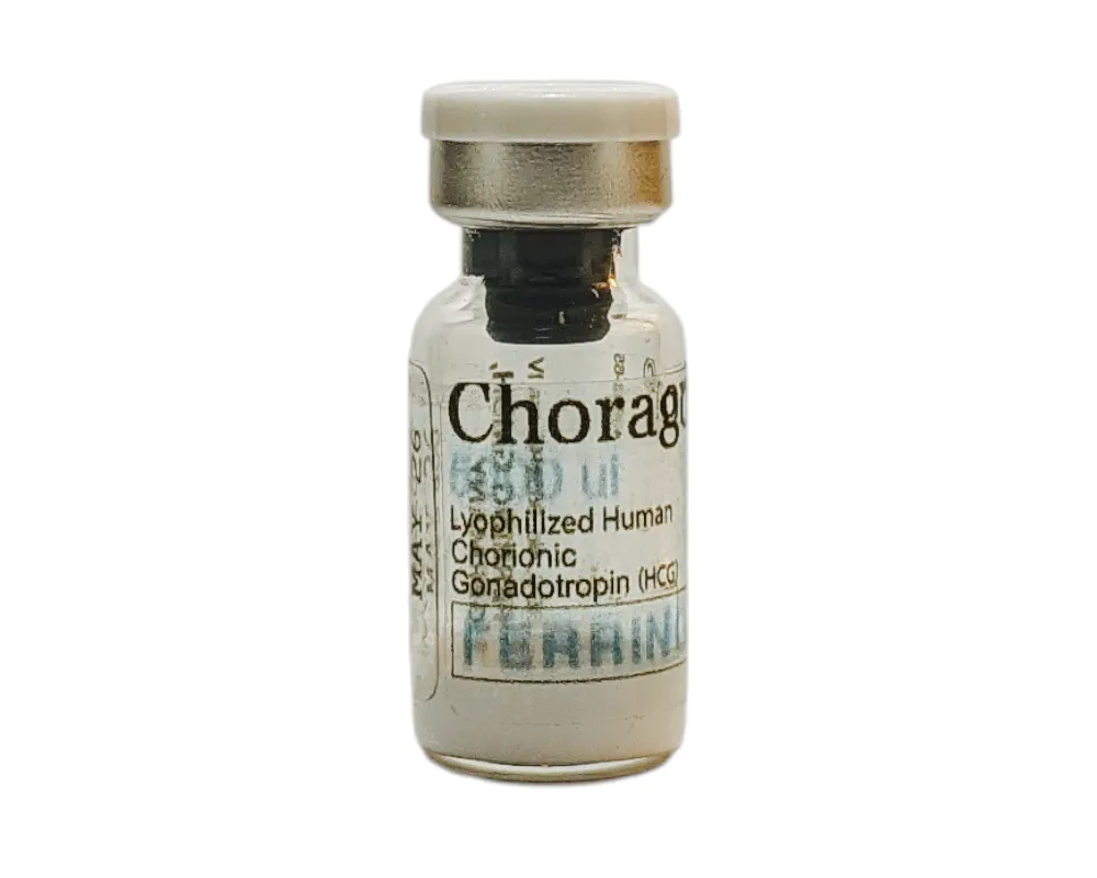 Human Chorionic Gonadotropin